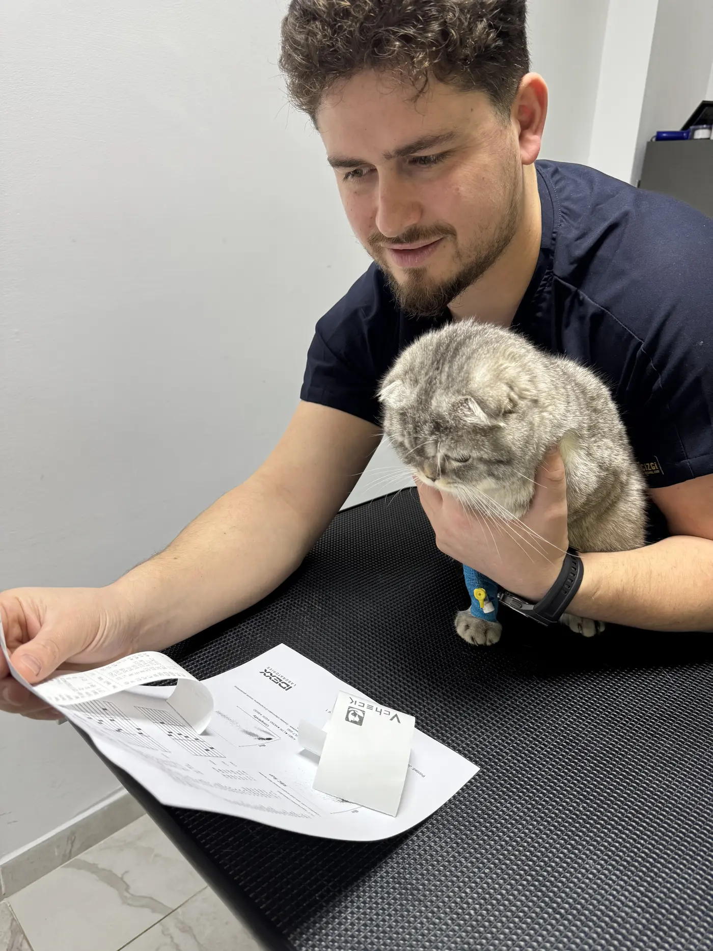 Consultatie si analize VET STUFF